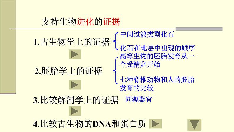 人教版六年级科学下册2.4生物的进化 课件第5页