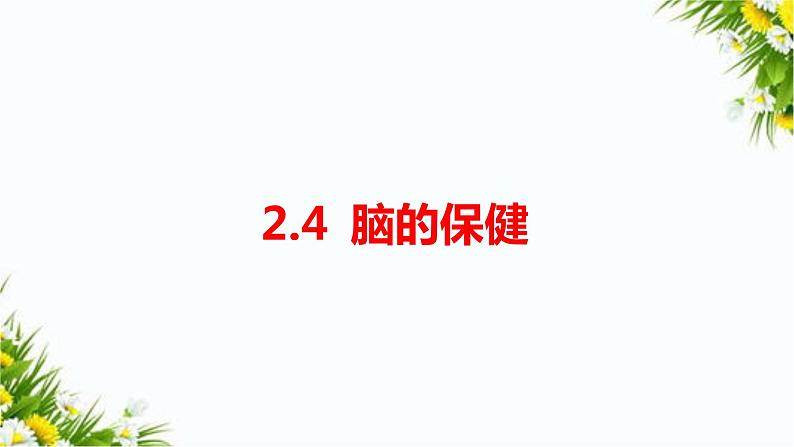 大象版五上科学课件2.4脑的保健01