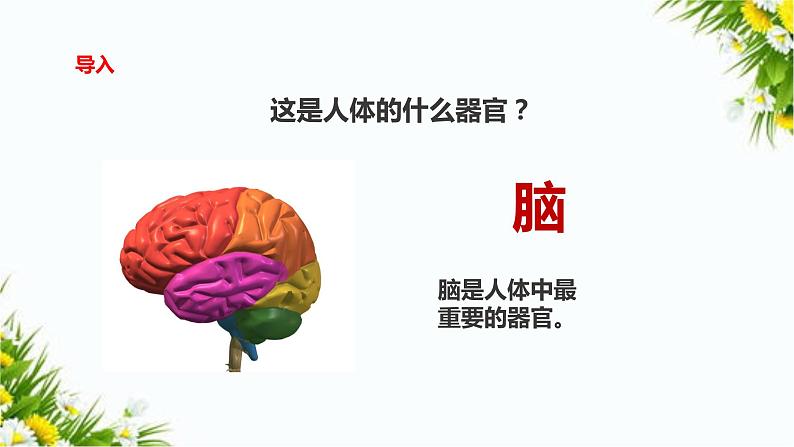 大象版五上科学课件2.4脑的保健02
