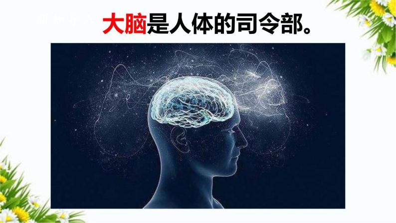 大象版五上科学课件2.4脑的保健03