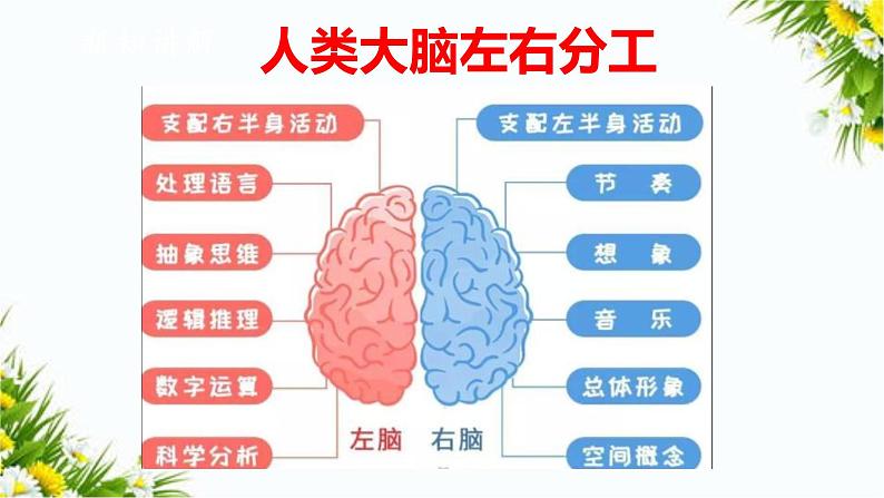 大象版五上科学课件2.4脑的保健08