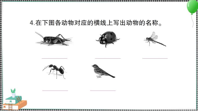 新教科版科学六年级下册 第1课 校园生物大搜索 习题PPT(含答案+动画)04