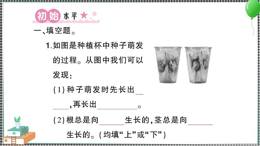 新教科版科學(xué)四年級下冊 第3課 種子長出了根 習(xí)題PPT第2頁