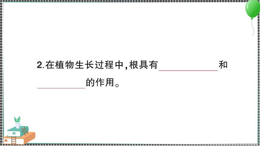 新教科版科學(xué)四年級下冊 第3課 種子長出了根 習(xí)題PPT第3頁