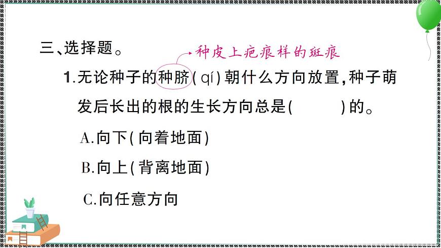 新教科版科學(xué)四年級下冊 第3課 種子長出了根 習(xí)題PPT第5頁