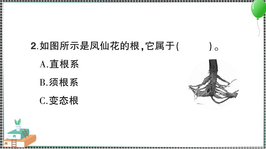 新教科版科學(xué)四年級下冊 第3課 種子長出了根 習(xí)題PPT第6頁