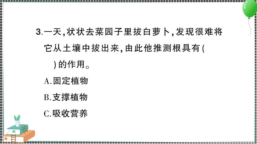 新教科版科學(xué)四年級下冊 第3課 種子長出了根 習(xí)題PPT第7頁