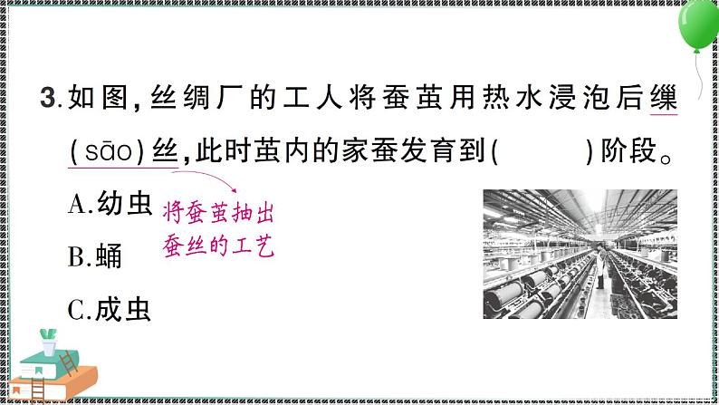 教科版科学三年级下册第6课 蚕的一生 习题PPT第6页