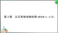 小學(xué)科學(xué)教科版 (2017)三年級(jí)下冊(cè)2.認(rèn)識(shí)其他動(dòng)物的卵習(xí)題ppt課件