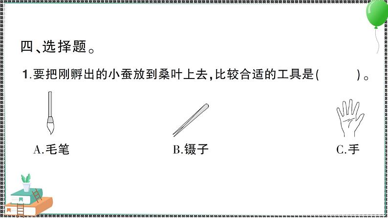 教科版科学三年级下册第1课 迎接蚕宝宝的到来 习题PPT第6页