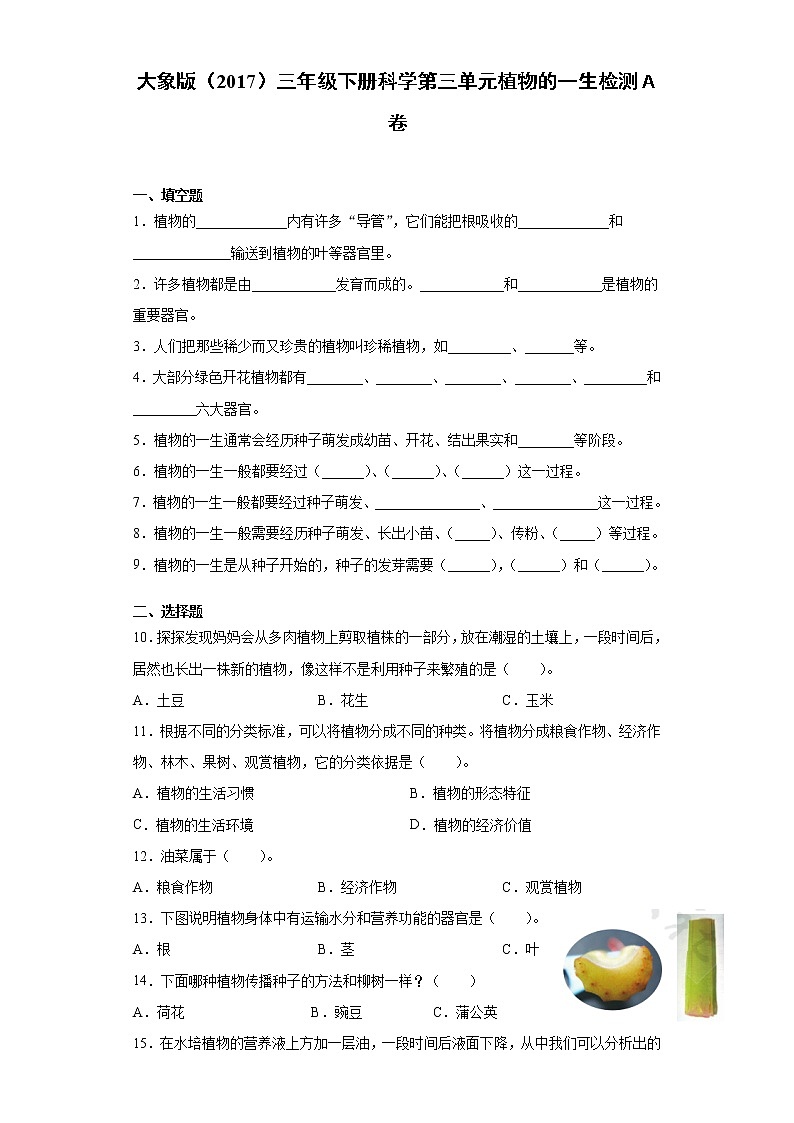 大象版三年级下册科学第三单元植物的一生达标测试题(一)含答案第1页
