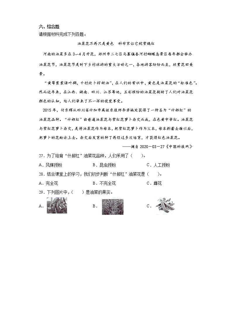 大象版三年级下册科学第三单元植物的一生达标测试题(一)含答案第3页