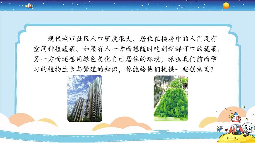 冀人版四年級(jí)下冊(cè)科學(xué) 6.18《我家的小菜園（一）》課件PPT第5頁(yè)