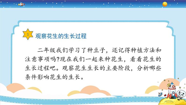 新冀人版四年级下册科学 7《植物的一生》课件PPT+教案08