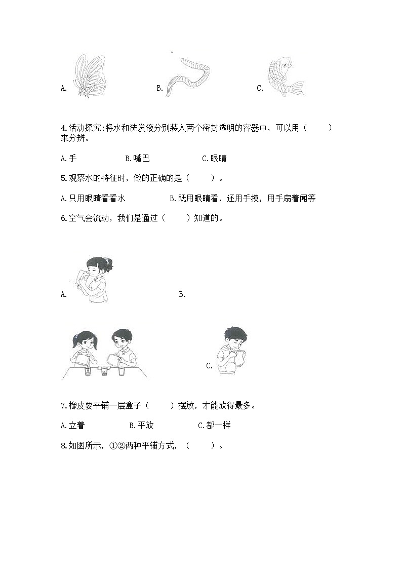 教科版一年级下册科学期末测试卷含答案(精练)附答案AB卷第2页