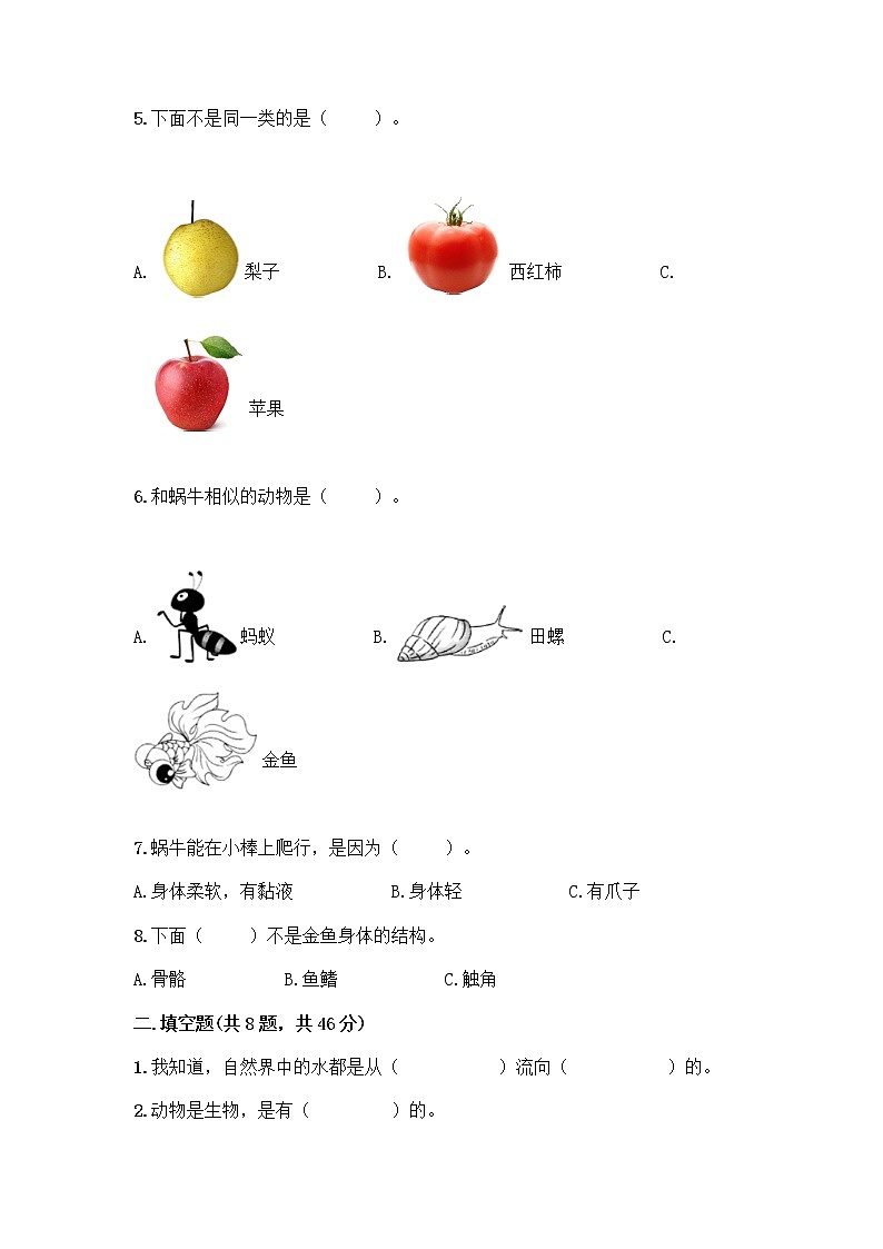 教科版一年级下册科学期末测试卷附答案(B卷)含答案(培优B卷)第2页