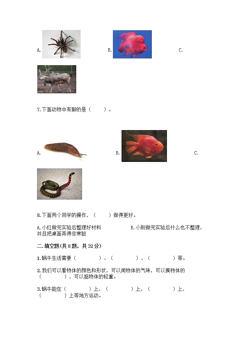 教科版一年级下册科学期末测试卷带答案(名师推荐)(考点提分)02