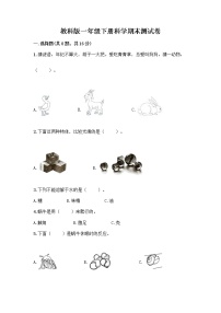 教科版一年级下册科学期末测试卷完整答案