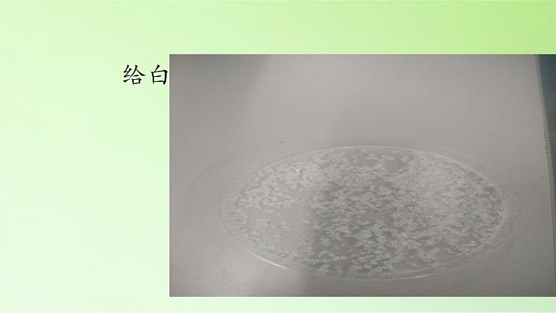 教科版(2001)科学六年级下册 2.2 物质发生了什么变化(18) 课件第5页