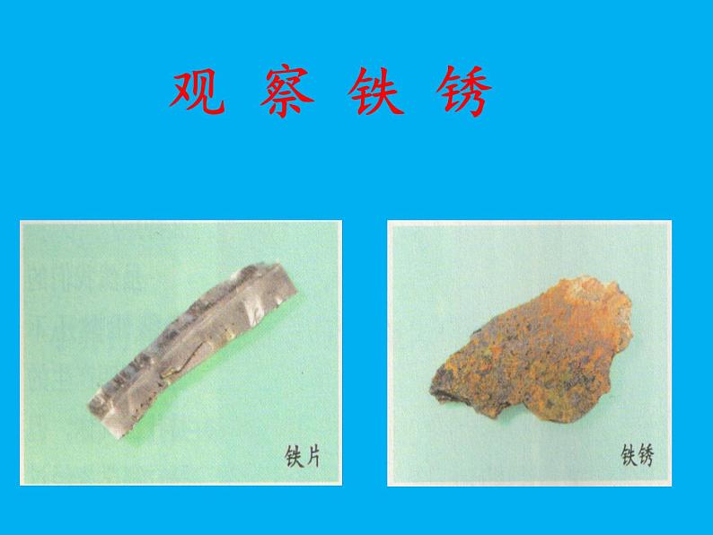 教科版(2001)科学六年级下册 2.5 铁生锈了(14) 课件第2页