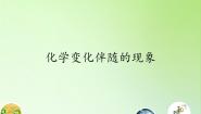 六年级下册6、化学变化伴随的现象授课课件ppt