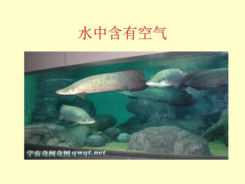 教科版(2001)科学六年级下册 2.7 控制铁生锈的速度 课件第8页