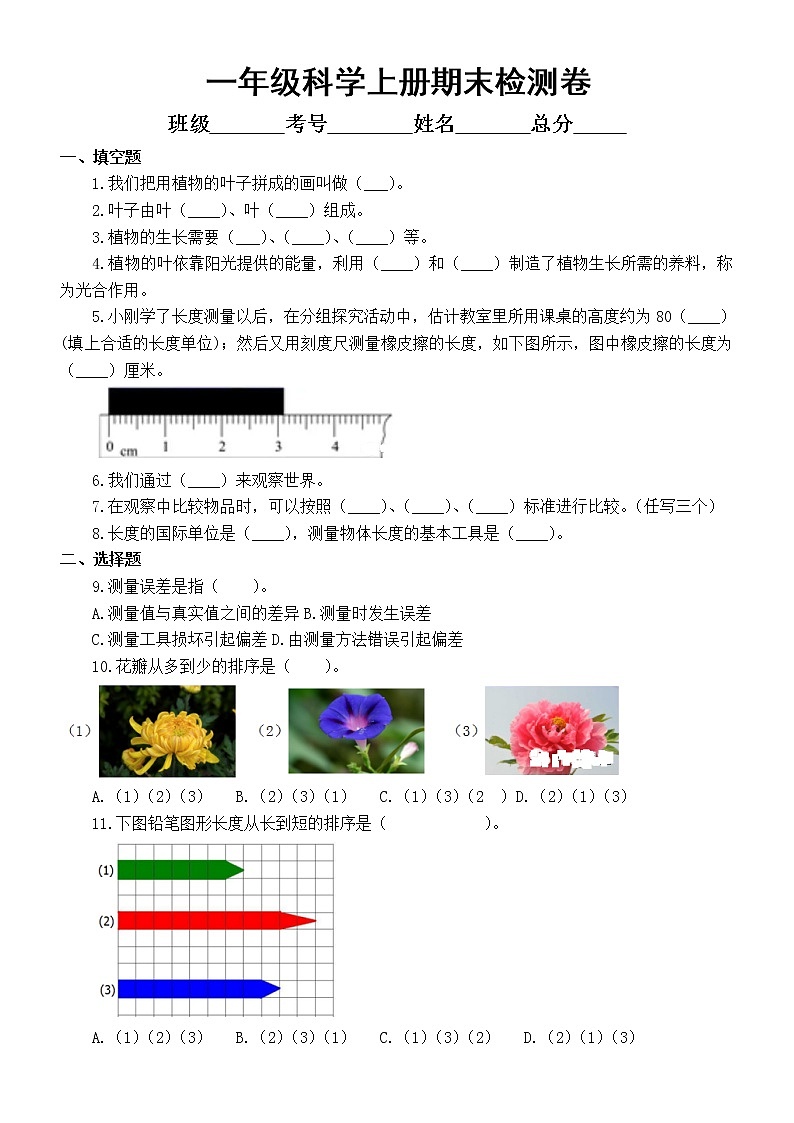 小学科学教科版一年级上册期末检测卷(2022)(附参考答案和解析)01