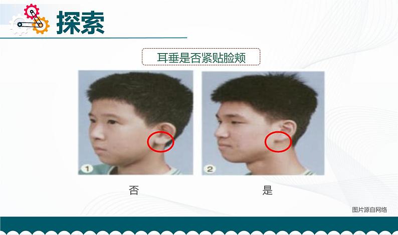 5.相貌各异的我们 课件第7页