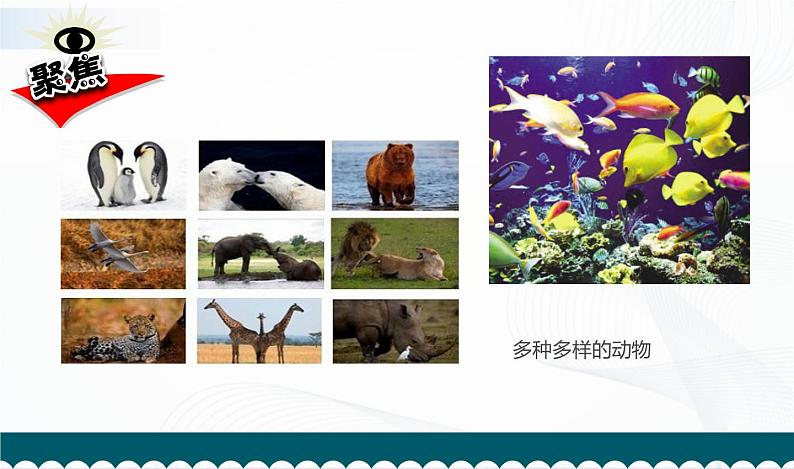 2.7. 保护生物多样性第2页