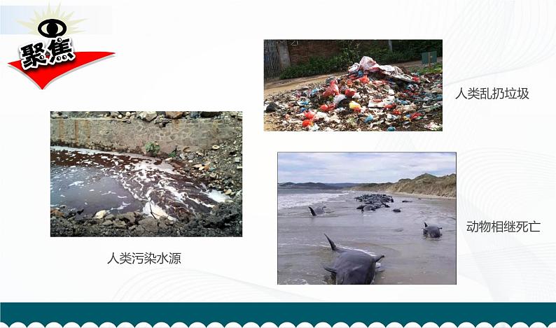 2.7. 保护生物多样性第5页