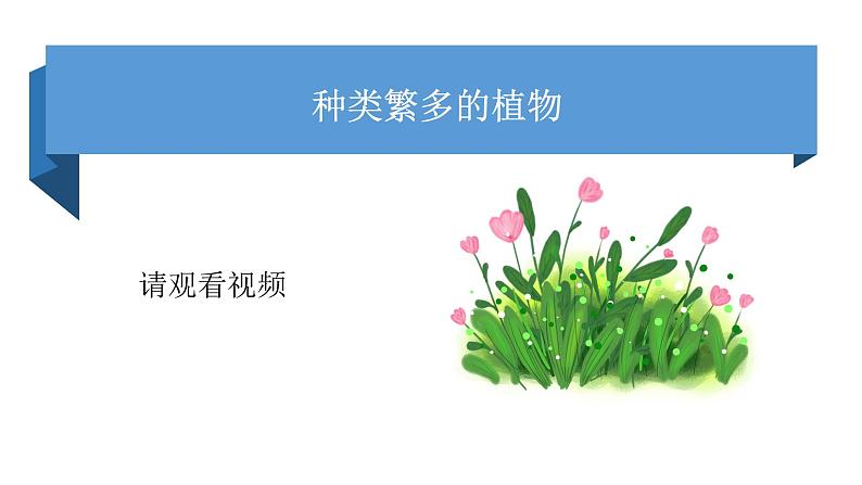 4.1《种类繁多的植物》视频引导ppt+视频资料03