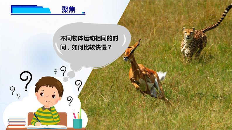 1.6《比较相同时间内运动的快慢》课件第5页