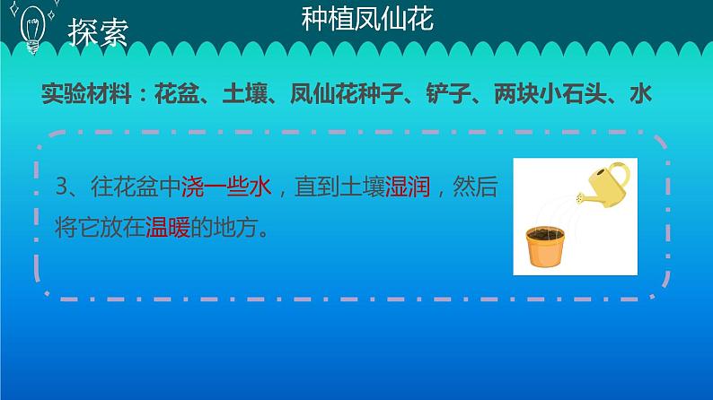 小学科学教科版四年级下册第一单元第2课《种植凤仙花》课件3(2021新版)第5页