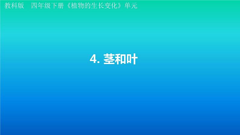 小学科学教科版四年级下册第一单元第4课《茎和叶》课件3(2021新版)第1页