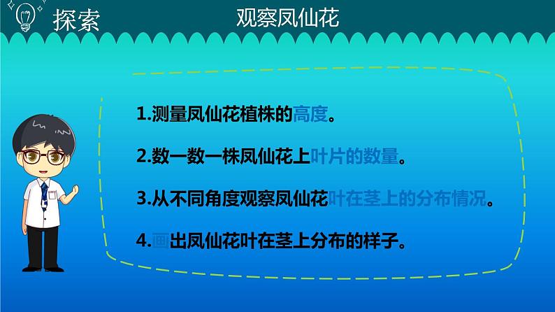 小学科学教科版四年级下册第一单元第4课《茎和叶》课件3(2021新版)第3页