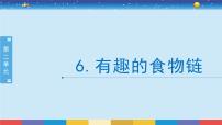 小學(xué)科學(xué)蘇教版 (2017)六年級下冊6 有趣的食物鏈完美版授課ppt課件