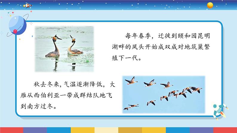 苏教版(2017)六下科学2.8《适应生存的本领》授课课件03