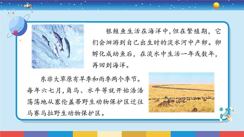 苏教版(2017)六下科学2.8《适应生存的本领》授课课件04