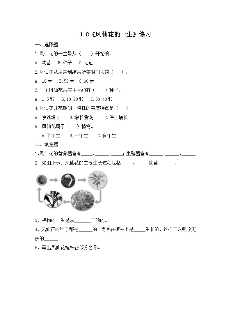 教科版(2017)科学四年级下册1.8《凤仙花的一生》PPT课件+教案+同步练习01