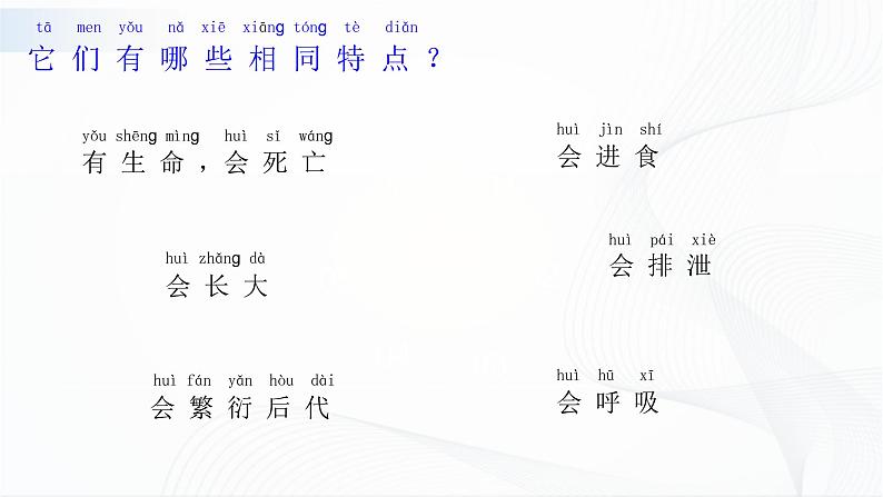 苏教版(2017)科学一年级下册:12.动物.人 授课课件03