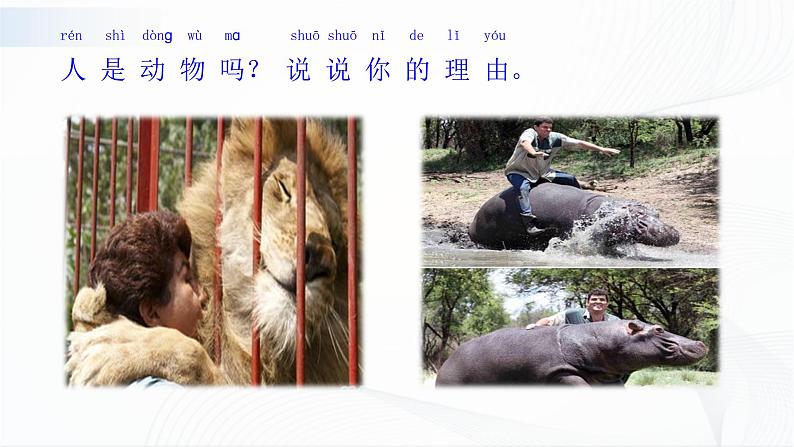 苏教版(2017)科学一年级下册:12.动物.人 授课课件05