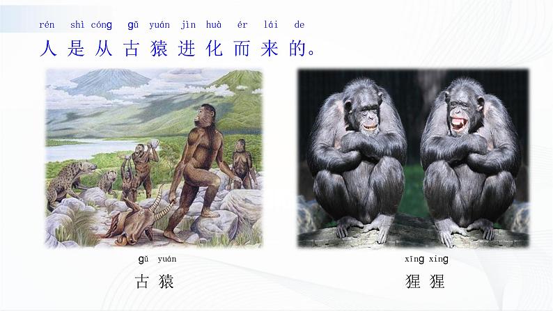 苏教版(2017)科学一年级下册:12.动物.人 授课课件06