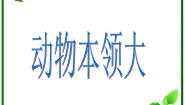 小学科学人教版 (新课标)三年级上册1 小动物本领大多媒体教学ppt课件