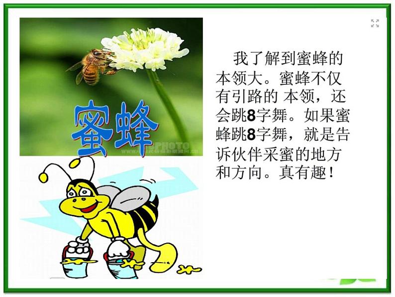 人教小学科学3.1小动物本领大 课件PPT第2页