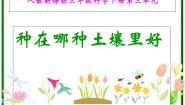 小学科学人教版 (新课标)三年级下册3 种在哪种土壤里好图文课件ppt