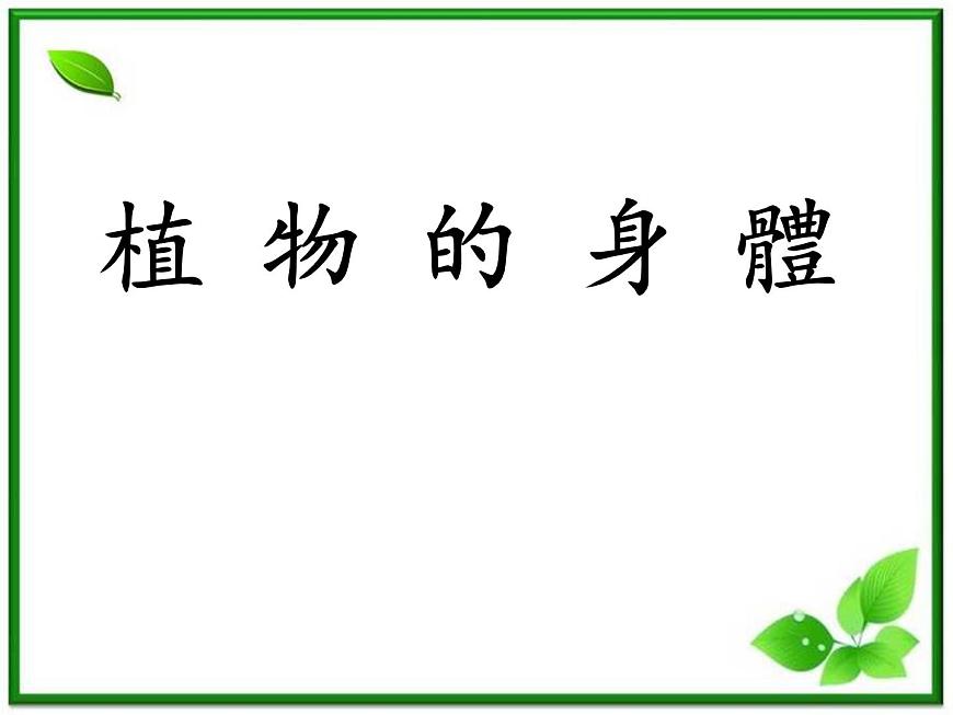 人教小學(xué)科學(xué)2.3植物的身體課件PPT第7頁