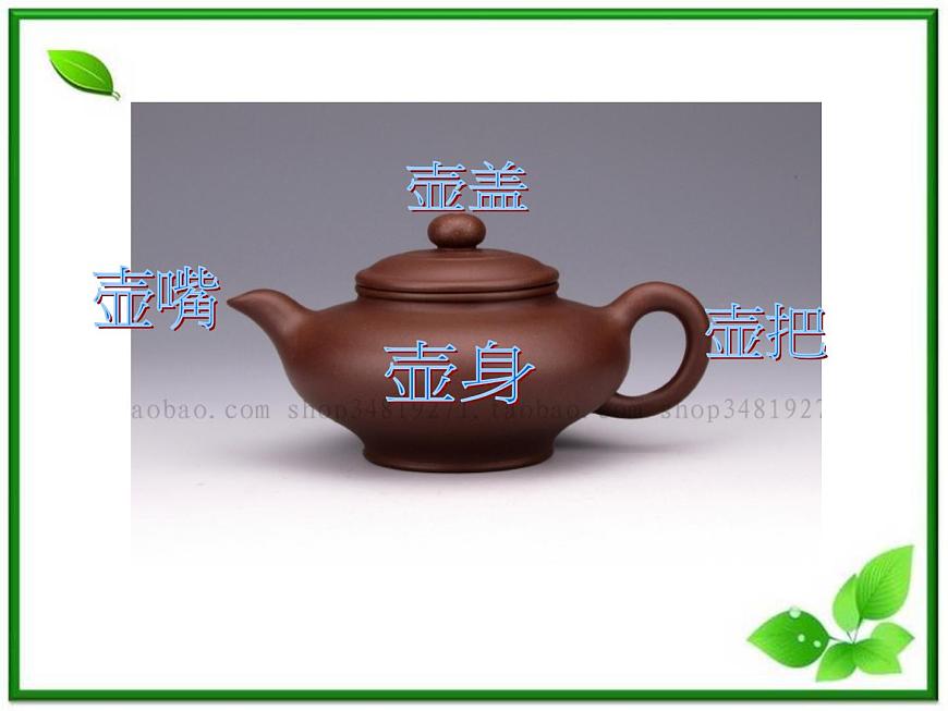 人教小學(xué)科學(xué)2.3植物的身體課件PPT第8頁