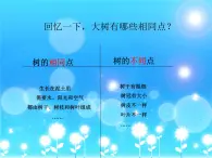 教科小学科学三上《1.3、大树和小草》PPT课件(1)