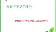 小学科学人教版 (新课标)四年级上册4 肉眼看不见的生物多媒体教学ppt课件