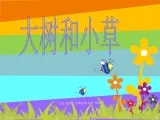 教科小学科学三上《1.3、大树和小草》PPT课件(16)